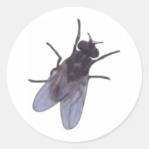 Leave the Fly Alone Round Sticker
