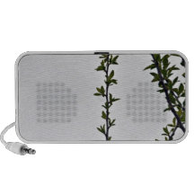 Leaves against cloudy sky iPhone speaker