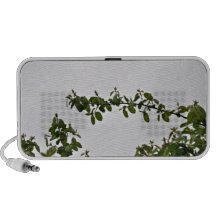 Leaves against cloudy sky travel speakers