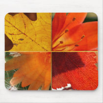 leaves and flowers