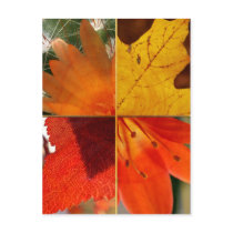 leaves and flowers