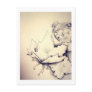 leaves and 'granates post card