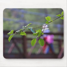 Leaves Bridges Leaf Mouse Pads