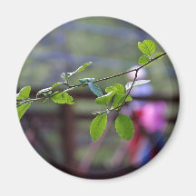 Leaves Bridges Leaf Refrigerator Magnet