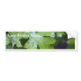 Leaves Leaf Raindrops Bumper Sticker
