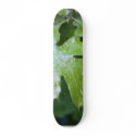 Leaves Leaf Raindrops skateboards
