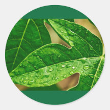 leaves me out stickers