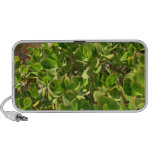 Leaves of Jade Plant iPhone Speakers