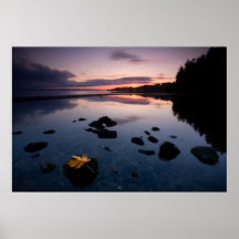 Leaves On Rock Poster