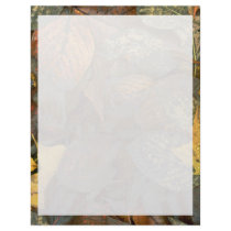 Leaves on the forest floor letterhead