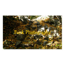 Leaves on the Path Business Card