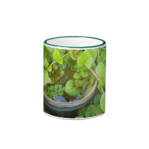 Leaves Ringer Mug