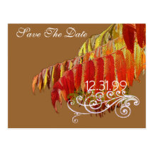 Leaves Save The Date Post Card
