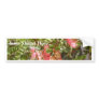 Leaves Seeds Bumper Sticker