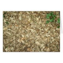 Leaves. Woodland floor. Leafy ground. Cards