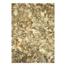 Leaves. Woodland floor. Leafy ground. Custom Invites