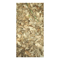 Leaves. Woodland floor. Leafy ground. Picture Card