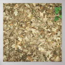 Leaves. Woodland floor. Leafy ground. Print