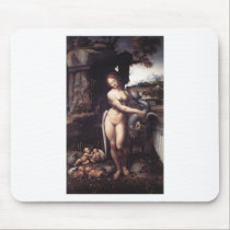 Leda and the Swan mousepads