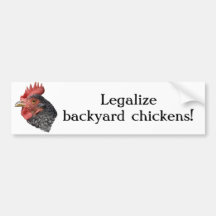 Legalize backyard chickens! Bumper sticker