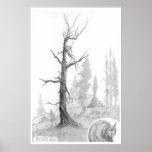 "Legend Lake Trail, Selway Wilderness" by Jeff Cam Print