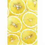 Lemon background cut out