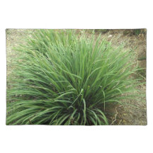 Lemon Grass for Tea Place Mats