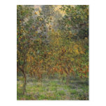 Lemon Grove in Bordighera by Claude Monet Postcard