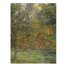 Lemon Grove in Bordighera by Claude Monet Postcard