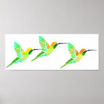 Lemon Lime Sorbet Hummingbirds