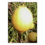 Lemon On Tree Greeting Card