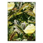 Lemon Peony Rose Card