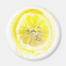 Lemon sketch magnet