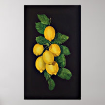 Lemon Suite Poster