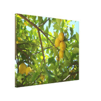 LEMON TREE CANVAS CANVAS PRINT