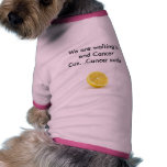 lemon, We are walking to end CancerCuz...Cancer... pet clothing