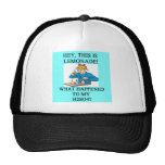 lemonade h2so4 joke mesh hats