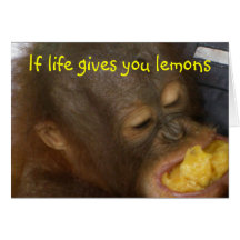 Lemonade: if life gives you lemons greeting card