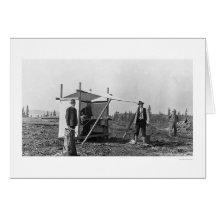 Lemonade Stand in Alaska 1916 Greeting Cards