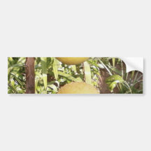 Lemons Bumper Stickers