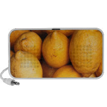 Lemons Notebook Speaker