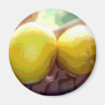 lemons refrigerator magnet