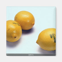 Lemons Refrigerator Magnets
