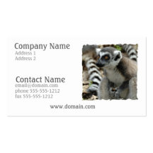 Lemur Business Card