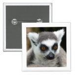 Lemur buttons