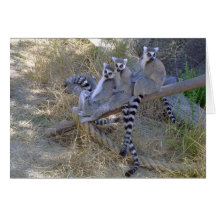Lemur Line Note Card