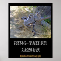 Lemur Line Poster