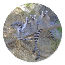 Lemur Line Stickers