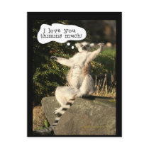 Lemur Love You This Much Funny  Fathers Day Post Card