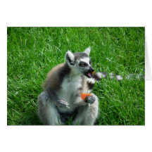 Lemur Lunch Greeting Cards